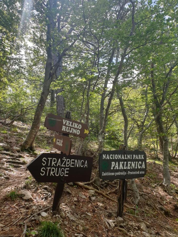 Ferienwohnung Vito Starigrad Paklenica Exterior foto