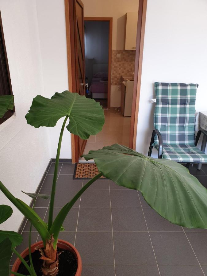 Ferienwohnung Vito Starigrad Paklenica Exterior foto